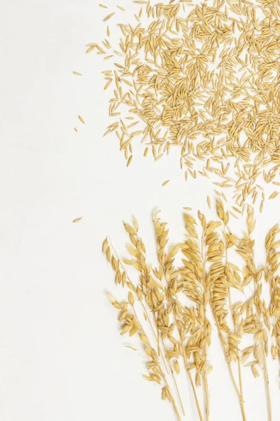 Whole grains and spikelets of oats — 스톡 사진