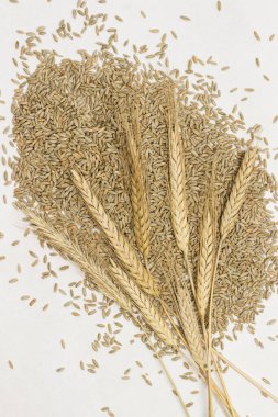 Çavdar tanelerinde çavdar viskisi. Beslenme lifleri