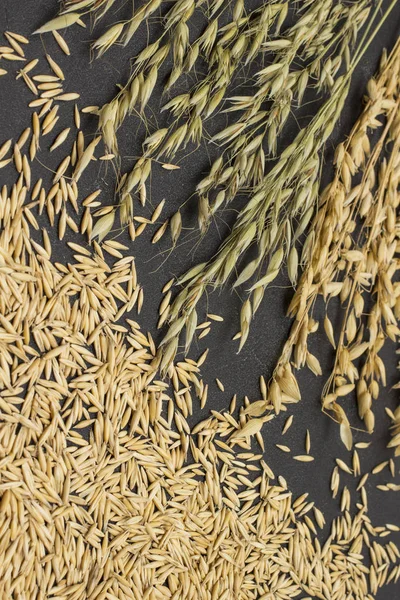 Whole grains and spikelets of oats — 스톡 사진