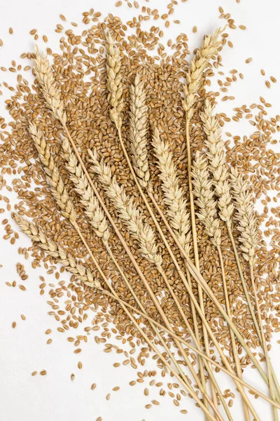 Spikelets of wheat on the grains of wheat. Dietary fiber — 스톡 사진