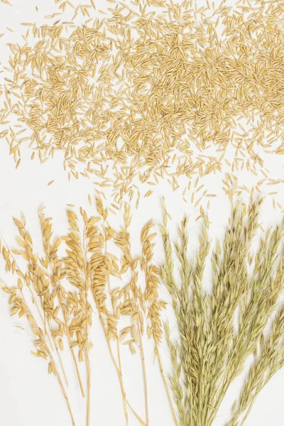 Grains and spikelets of oats. Dietary fiber — 스톡 사진