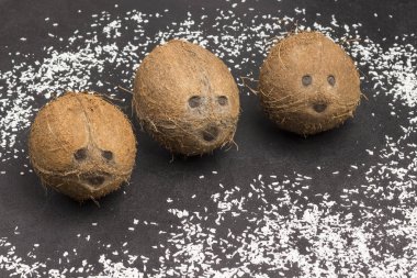 Müsli kahvaltıyı dengeledi. Meyveler, böğürtlen tohumları, fındıklar sağlıklı diyet vejetaryen yemekleri. Üst manzara ahşap arka plan. Boşluğu kopyala