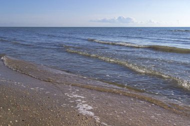 Gün batımında kumsalda. Denizde el salla. Gökyüzünde bulut. Çevre. Doğal arkaplan