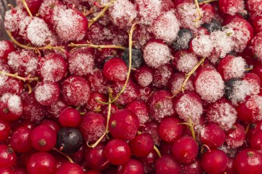Donmuş frenk üzümü. Sağlıklı kış besinleri. Düz yatıyordu. Doğal arkaplan
