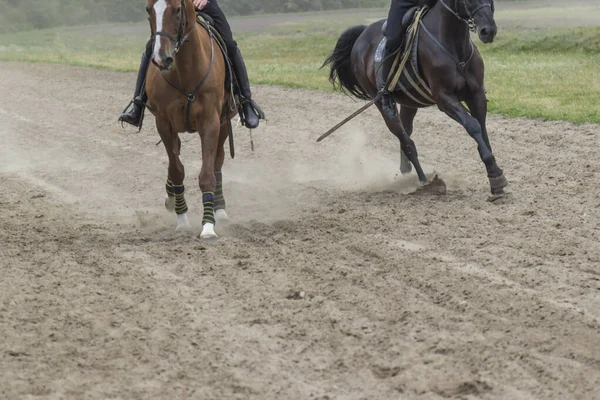 Dois Cavalos Corrida Correm Longo Pista Areia Cavaleiros Sela Parte — Fotografia de Stock