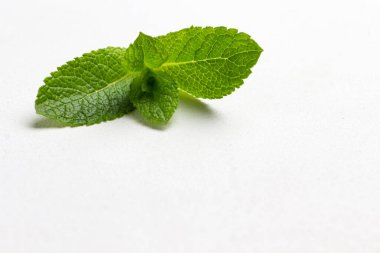 Beyaz arka planda nane yaprakları. Kapatın. Üst görünüm