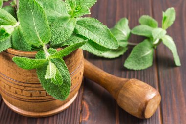 Tahta havanda nane yaprakları. Koyu ahşap arka plan. Üst Manzara. Kapat.