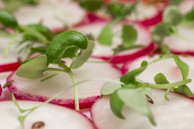 Bir dilim turp ve keten tohumu dilimlenmiş taze filizli mikroyeşil. Bahar besleyici diyet salatası. Kapat.