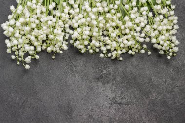 Vadinin bahar zambakları siyah arka planda. Boşluğu kopyala