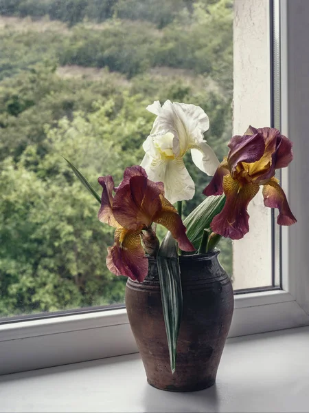 Strauß Schwertlilien Auf Der Fensterbank — Stockfoto