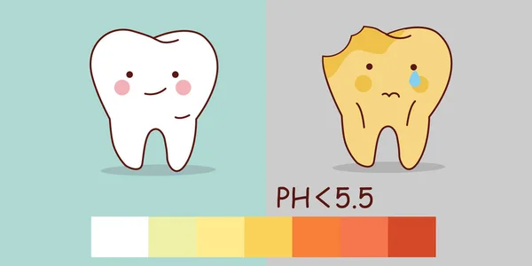 健康的牙齿和牙齿腐烂 — 图库矢量图片