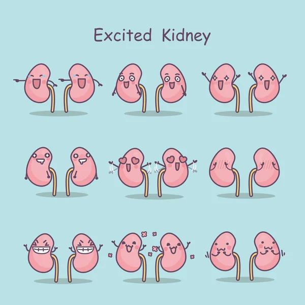 Excited cartoon kidney — Stock Vector