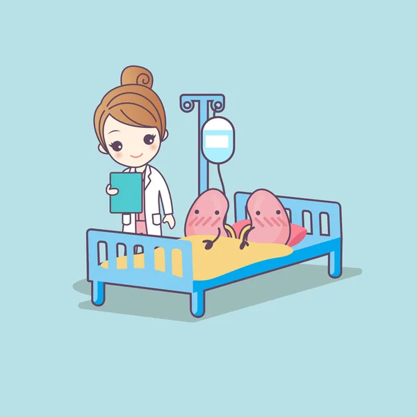 Cute cartoon kidney and doctor — Stock Vector