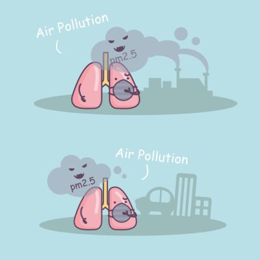 PM 2.5 sağlıksız akciğer