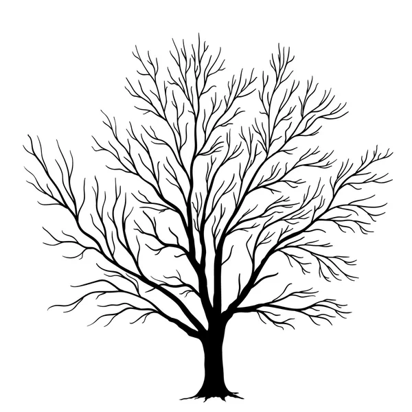 Silhueta de árvore vetorial isolada no fundo branco — Vetor de Stock