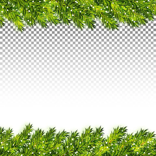 Saydam arka plan vektör çerçeve Noel ağacı dalları