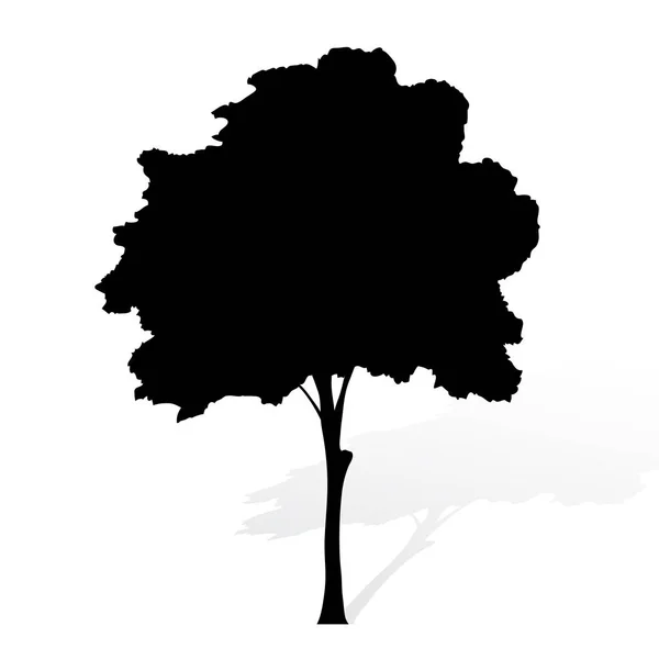 Ağaç siluet vektör beyaz arka plan üzerinde — Stok Vektör