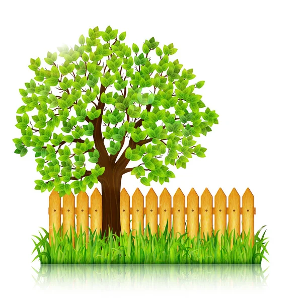 Yeşil ağaç, ot ve ahşap çit vektör doğa arka plan — Stok Vektör