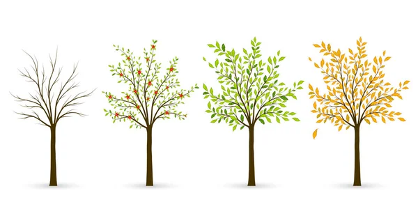 Árvore em quatro estações - inverno, primavera, verão, outono — Vetor de Stock