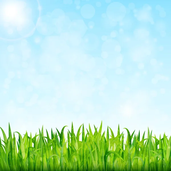 Nature background with green grass and blue sky vector — Stock Vector