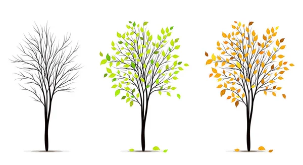 Seasons of tree — Stock Vector