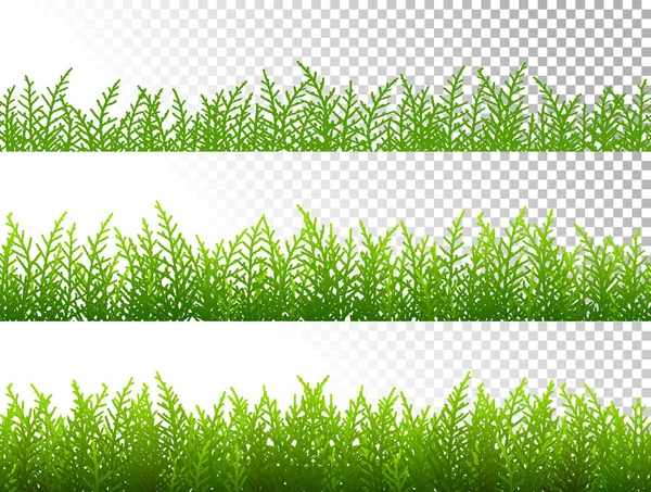 Bordi di erba verde impostato su vettore di sfondo trasparente — Vettoriale Stock