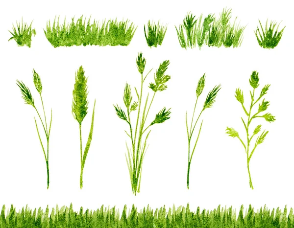 Акварельна зелена трава, встановлена на білому тлі — стокове фото