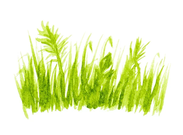 Doğa arka plan ile yeşil çim vektör — Stok Vektör