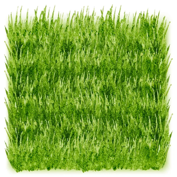 Grönt gräs vektor bakgrund — Stock vektor