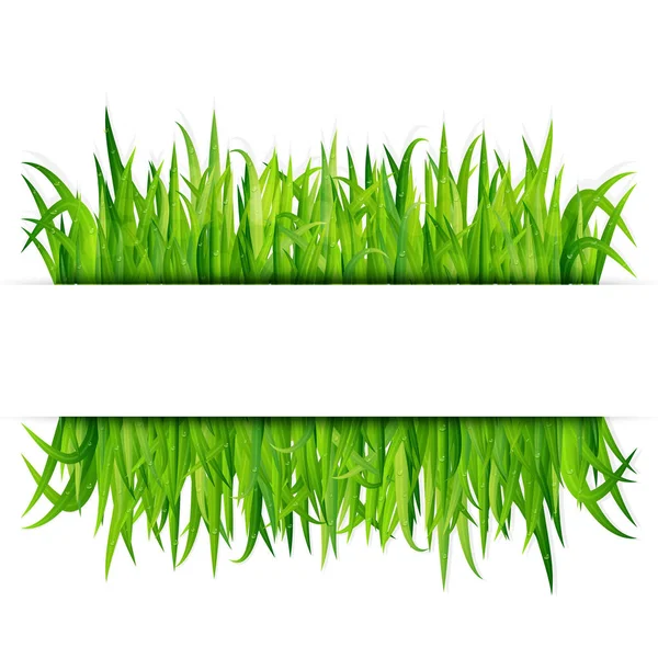 Zöld fű banner. Vector háttér — Stock Vector