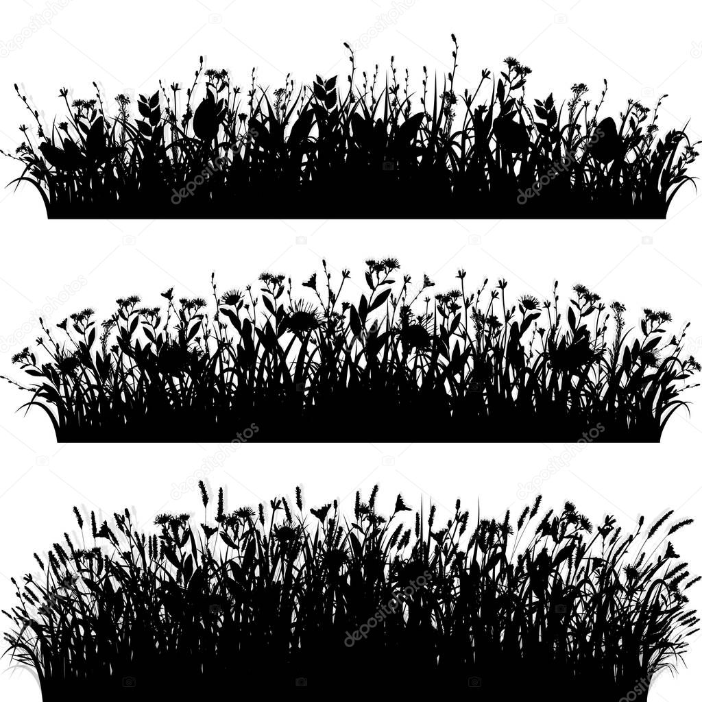 Download Grass borders silhouette set vector — Stock Vector ...