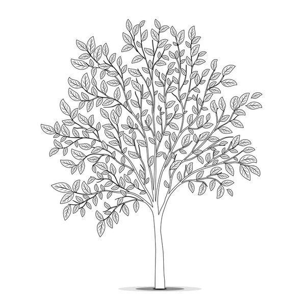 Drzewo z sylwetka liści na białym tle. Kolorowanie książki p — Wektor stockowy