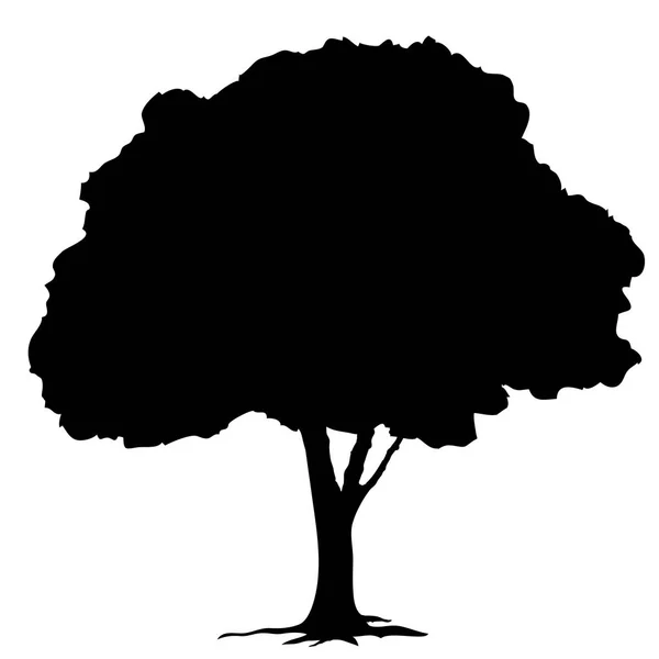 白い背景のベクトル上の木のシルエット — ストックベクタ