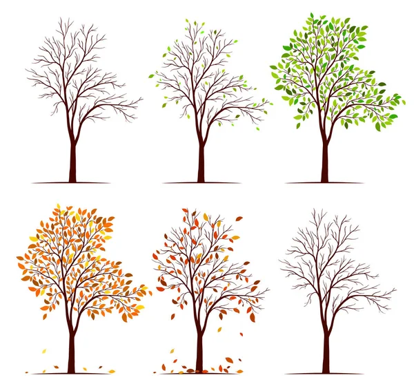 Estaciones del vector del árbol — Vector de stock