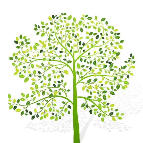 Árbol verde con hojas sobre fondo blanco vector — Archivo Imágenes Vectoriales