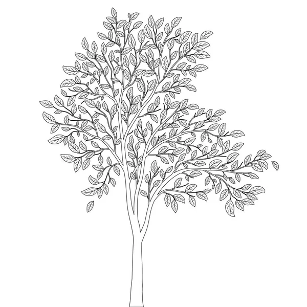 Träd med blad för coloring book sida vektor — Stock vektor