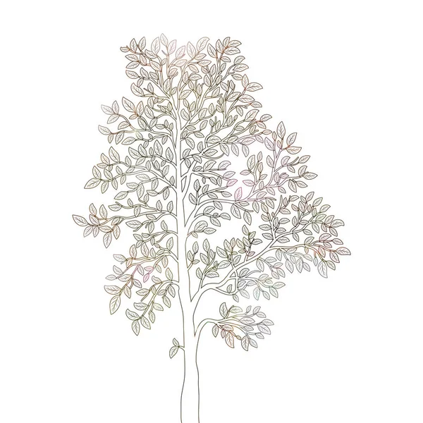 Träd med blad på vit bakgrund vektor — Stock vektor