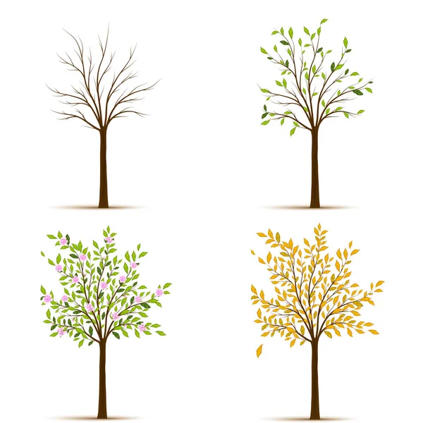 Four seasons trees vector