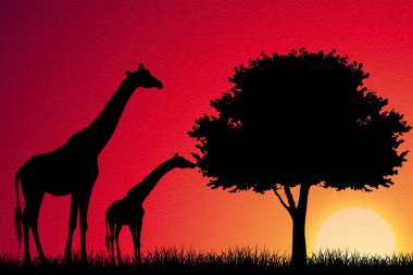 Afrika'da zürafa arka plan vektör