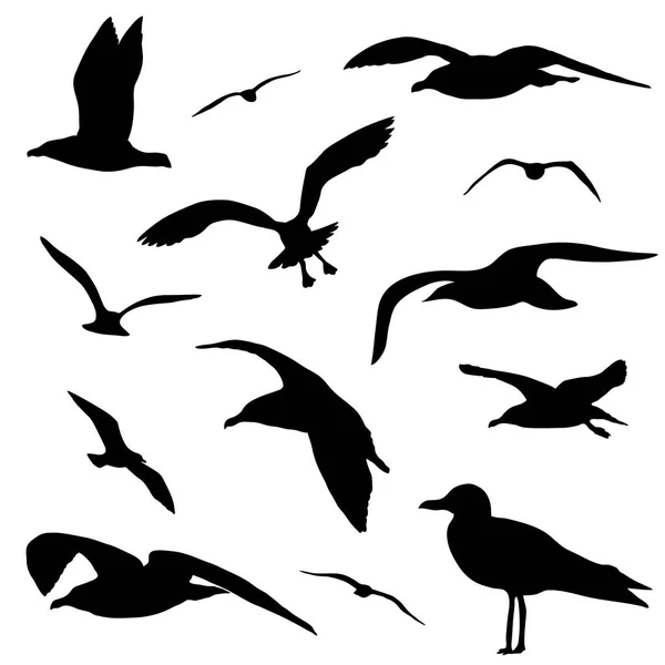 Conjunto de silhuetas de gaivota isolado no vetor de fundo branco — Vetor de Stock