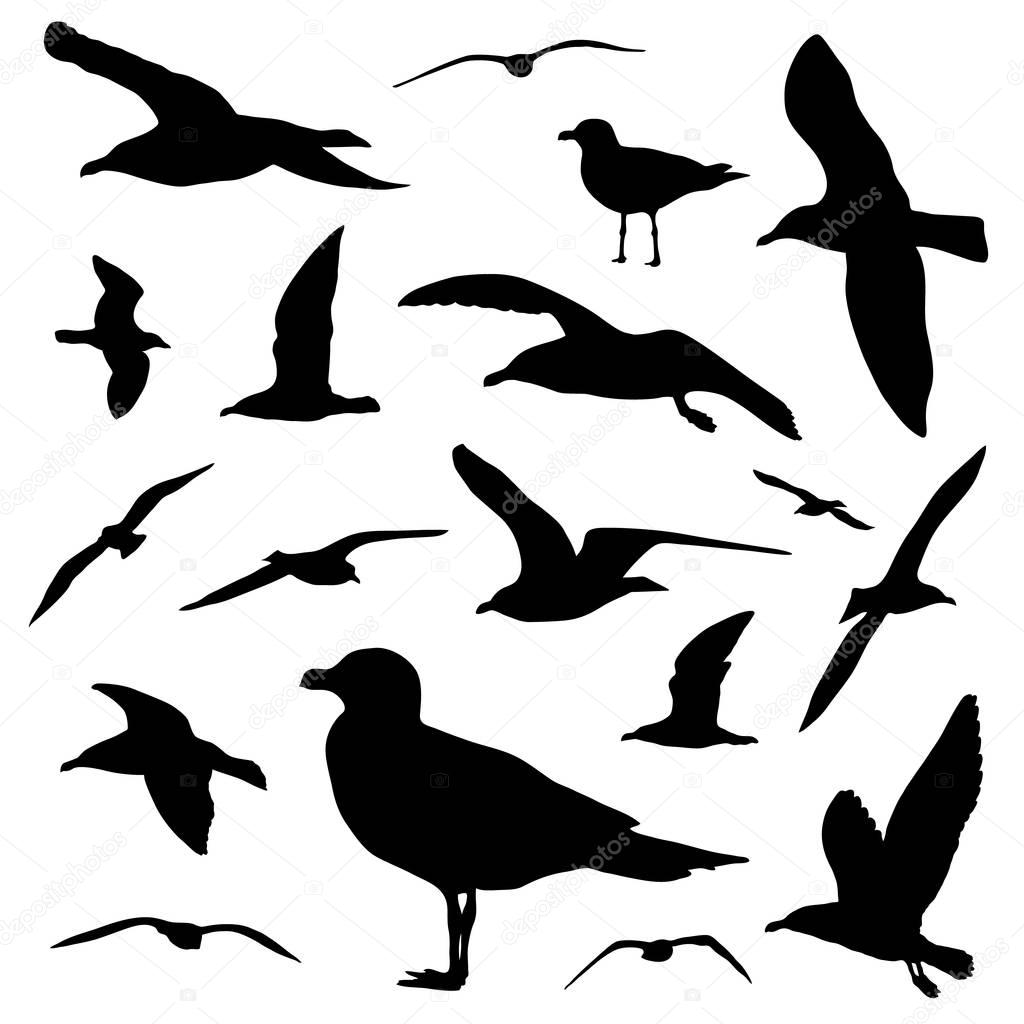 Seagull silhouette set isolated on white background vector