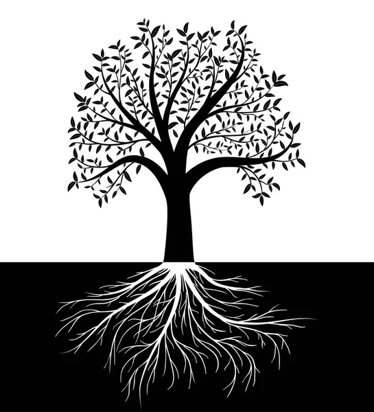 Silhouette d'arbre avec des feuilles et des racines vecteur arrière-plan — Image vectorielle