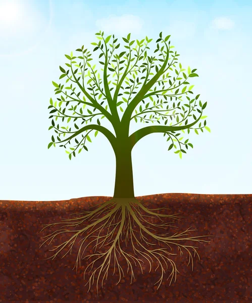Doğa arka plan ile yaprak ve kökler vektör yeşil ağaçlı — Stok Vektör