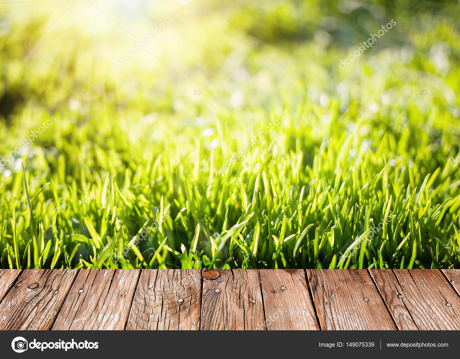 Sommer Garten Hintergrund mit grünem Rasen und Holzbohlen