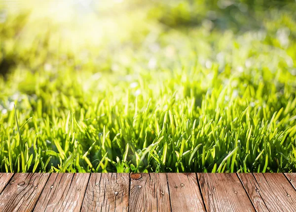 Jardim de verão fundo com grama verde e tábuas de madeira — Fotografia de Stock