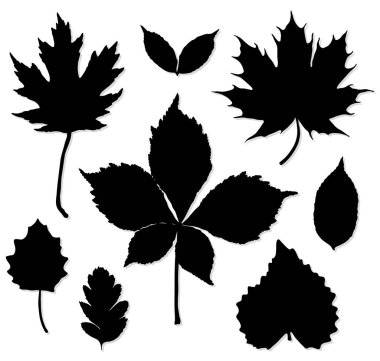 Beyaz arka plan üzerinde yaprakları siluet vektör kümesi