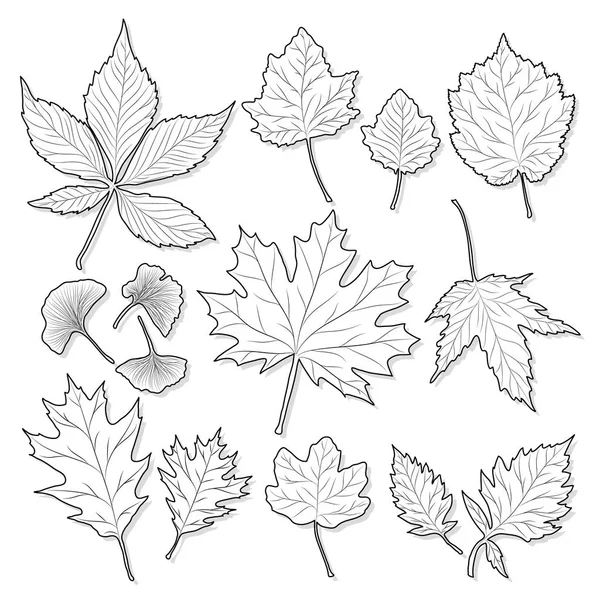 Feuilles silhouette sertie sur fond blanc vecteur — Image vectorielle