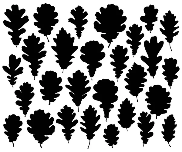 Oak leaves silhouette set isolated on white background vector — Stock Vector