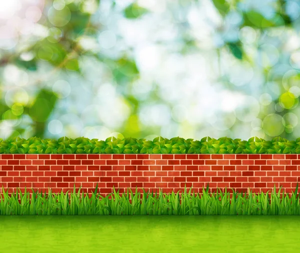Jardim fundo com parede de tijolo e grama verde — Fotografia de Stock