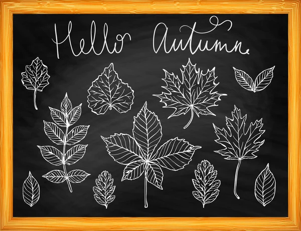 Hello autumn leaves silhouette on chalkboard vector background — Stock Vector